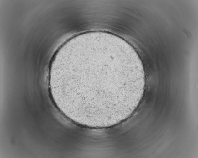 X0000112781126200910011252