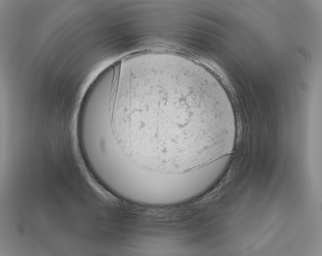 X0000112781128200910011252