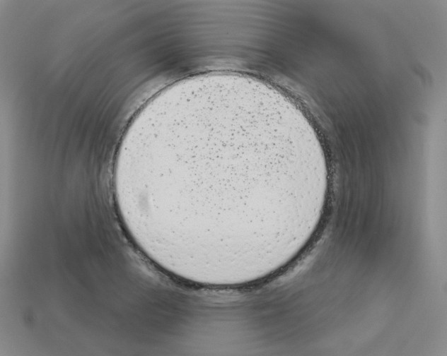 X0000112781129200910011252