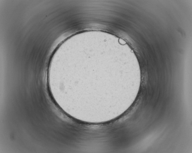 X0000112781130200910011252