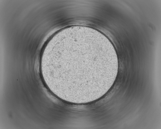 X0000112781131200910011252