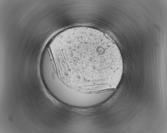 X0000112781132200910011252