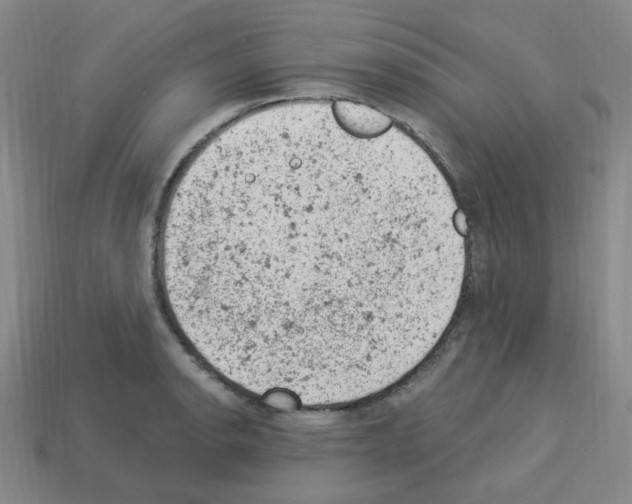 X0000112781134200910011252