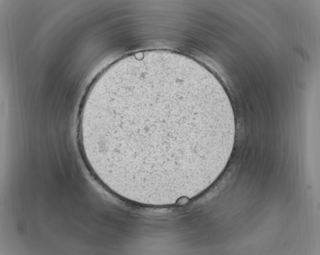 X0000112781135200910011252