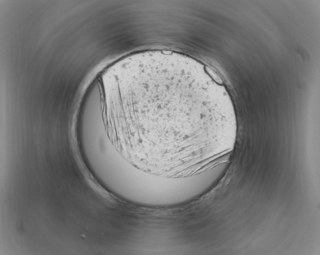 X0000112781136200910011252