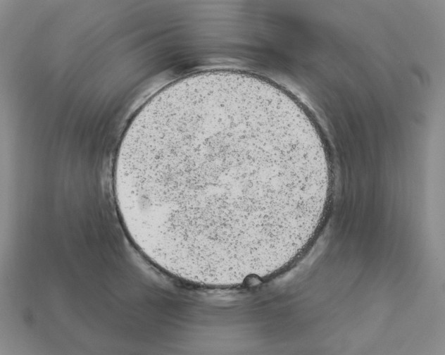 X0000112781137200910011252