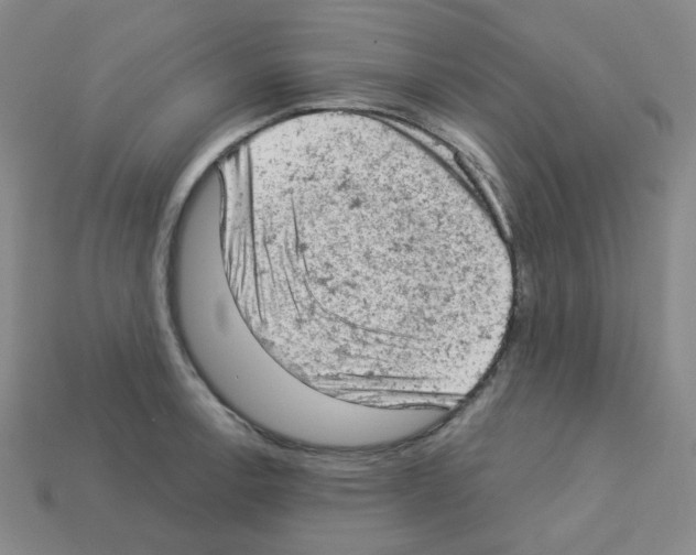 X0000112781138200910011252