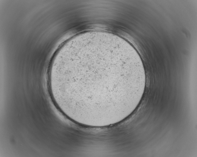 X0000112781139200910011252