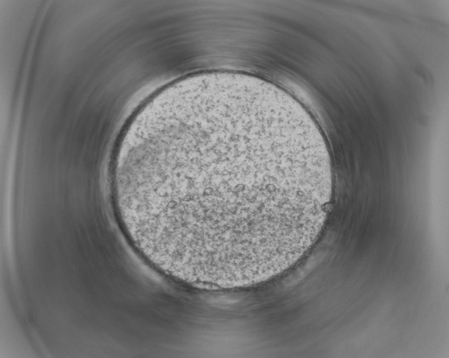 X0000112781141200910011252