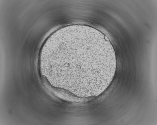 X0000112781142200910011252