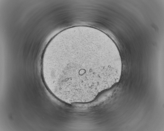 X0000112781143200910011252