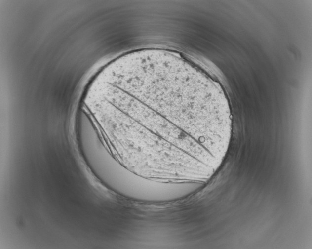 X0000112781144200910011252