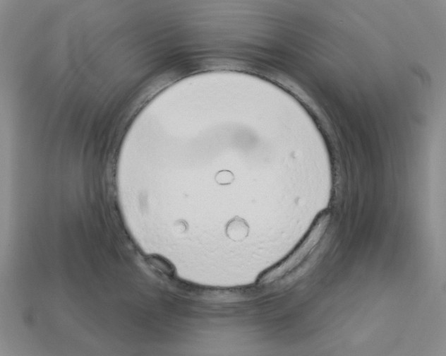 X0000112781145200910011252