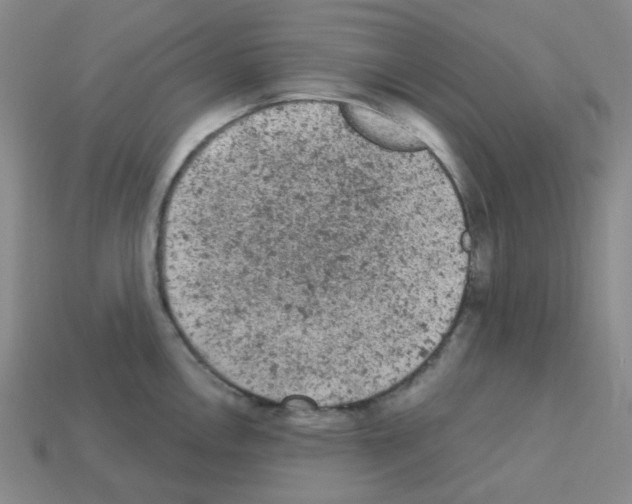 X0000112781146200910011252