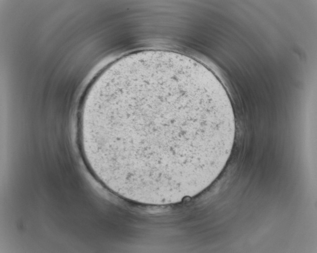 X0000112781147200910011252