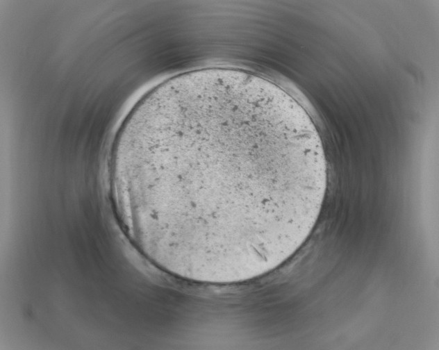 X0000112781148200910011252