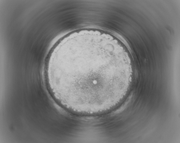 X0000112781149200910011252