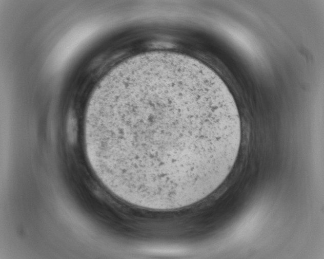 X0000112781151200910011252