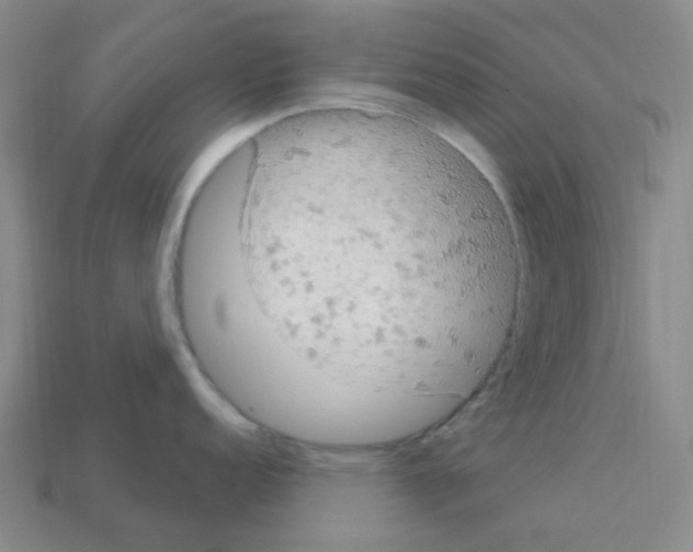 X0000112781152200910011252