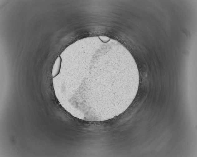 X0000112781153200910011251