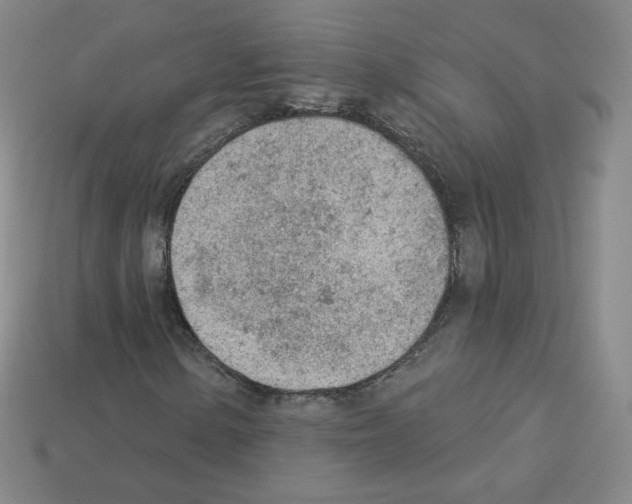 X0000112781154200910011251