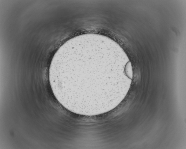 X0000112781156200910011251