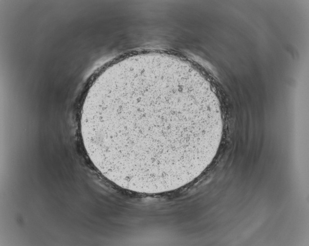 X0000112781160200910011251