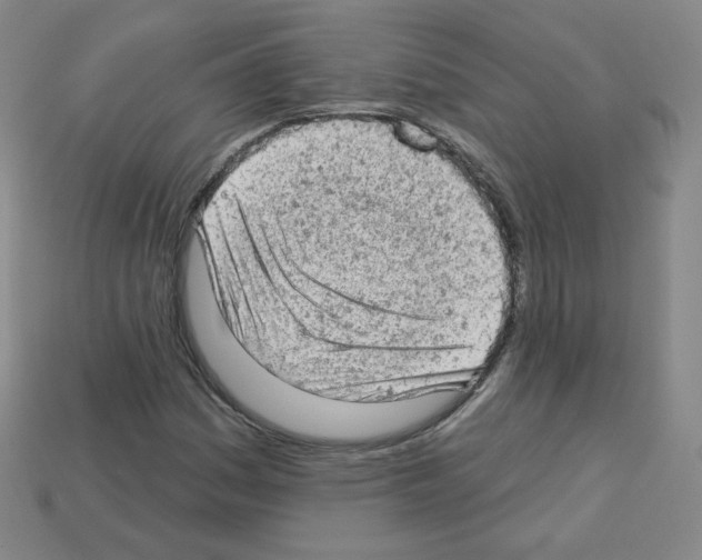 X0000112781161200910011251