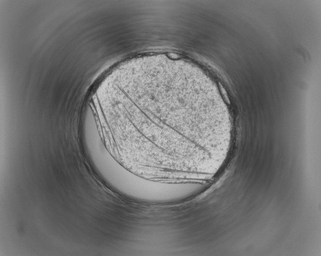 X0000112781162200910011251