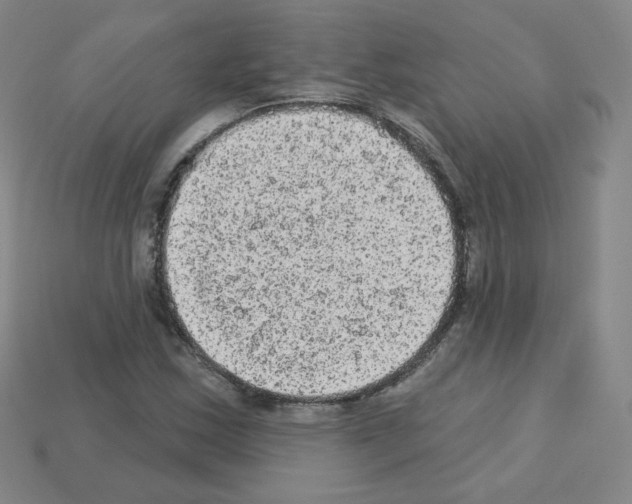 X0000112781163200910011251