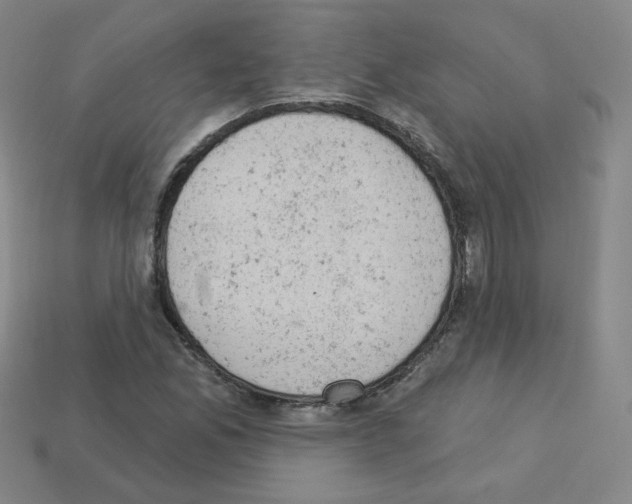 X0000112781165200910011251