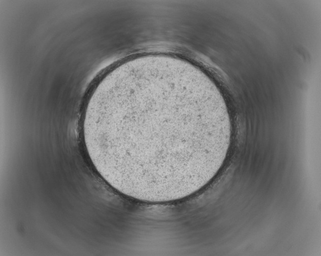 X0000112781166200910011251