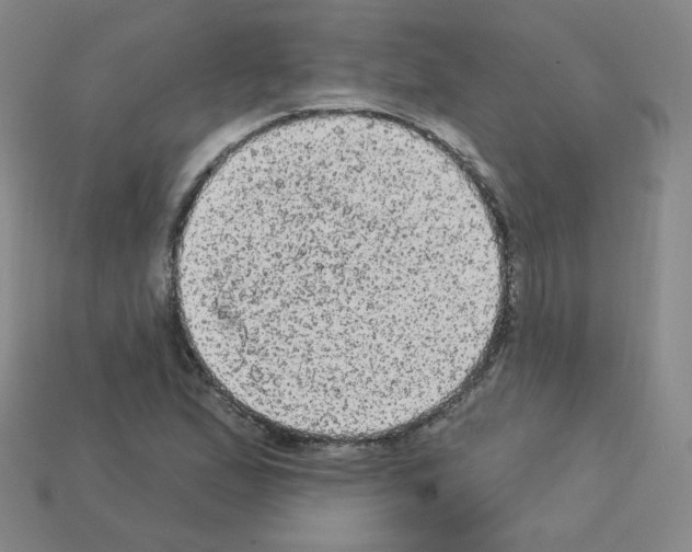 X0000112781167200910011251