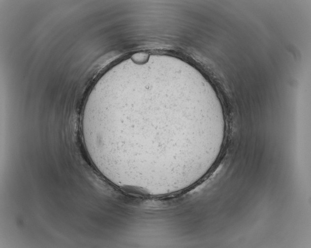 X0000112781169200910011251