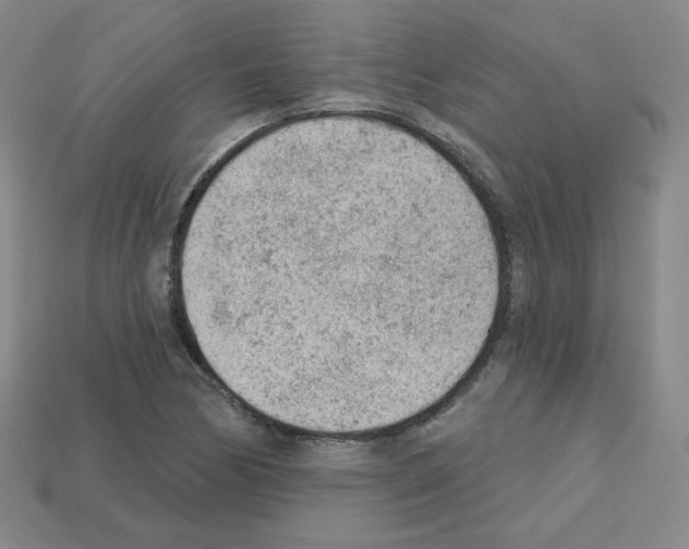 X0000112781170200910011251