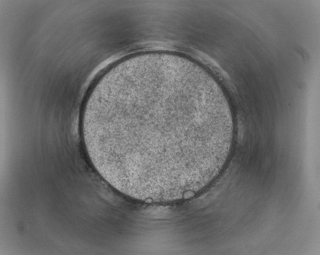 X0000112781174200910011251