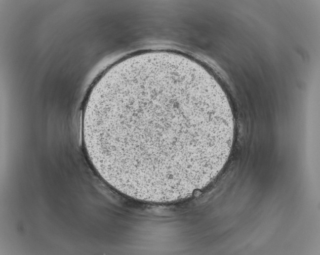 X0000112781175200910011251