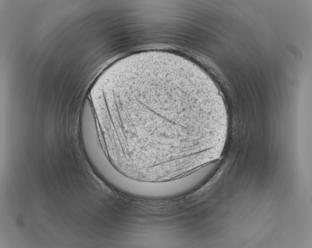 X0000112781177200910011251