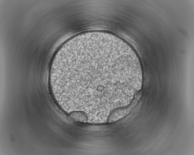 X0000112781179200910011251