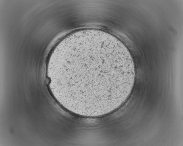 X0000112781180200910011251