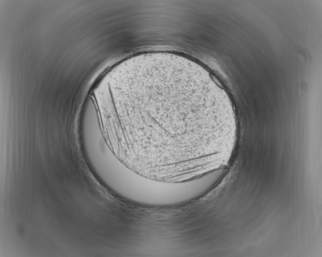 X0000112781181200910011251