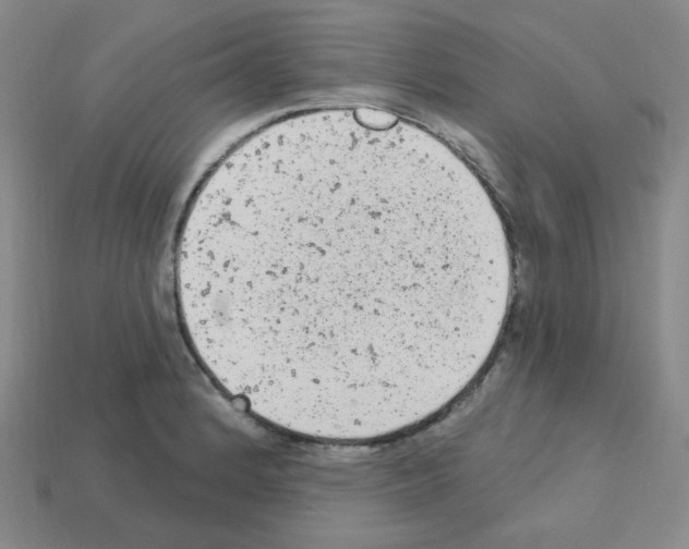 X0000112781184200910011251