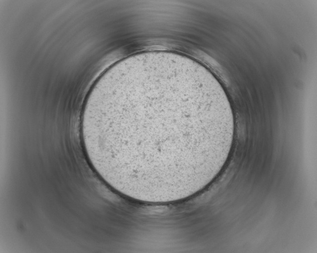 X0000112781186200910011251