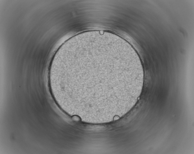 X0000112781187200910011251