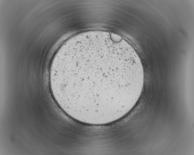 X0000112781188200910011251