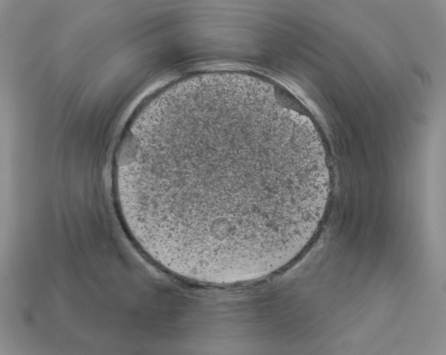 X0000112781189200910011251