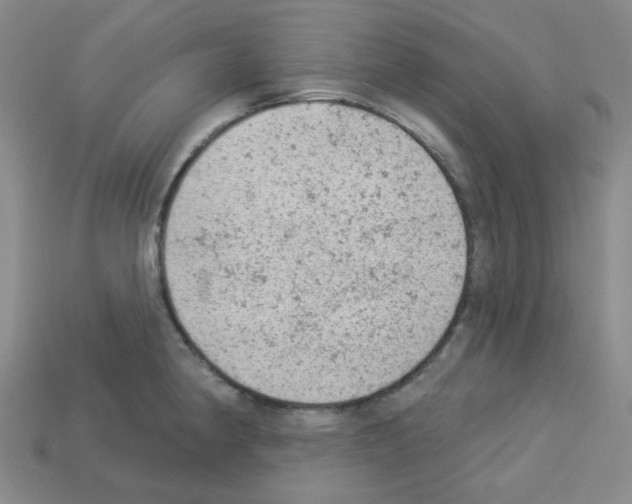 X0000112781190200910011251