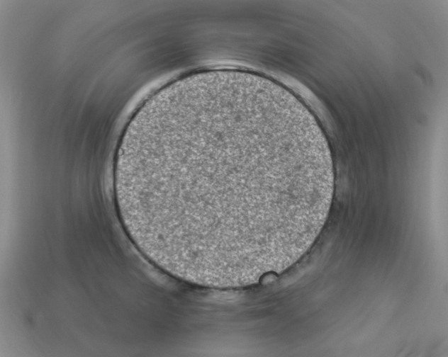 X0000112781191200910011251