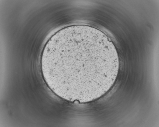 X0000112781192200910011251