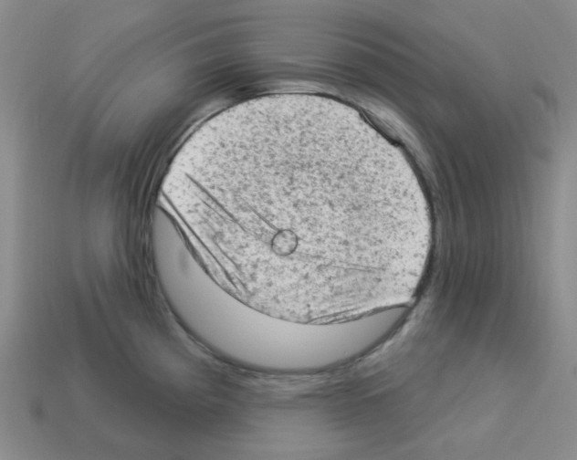 X0000112781193200910011251